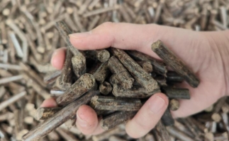 木屑燃料顆粒熱值多少大卡，完全取決于燃料的原料
